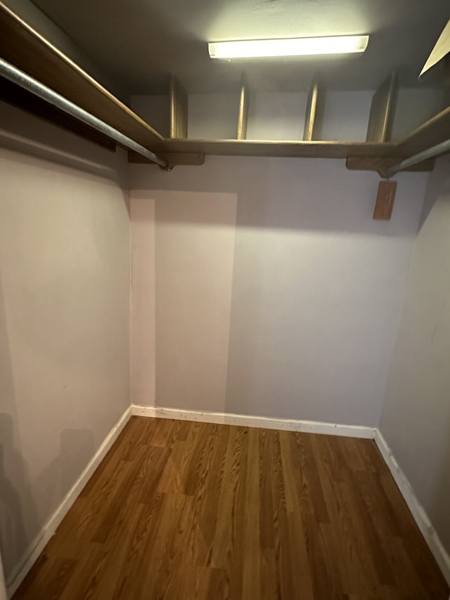 spacious closet featuring dark wood-type flooring