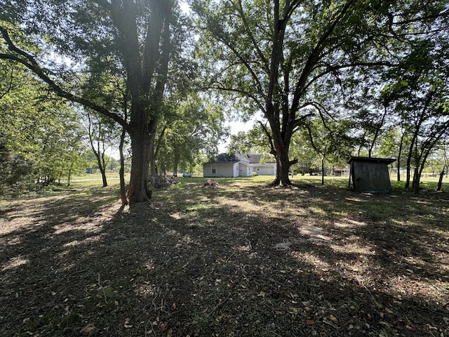 view of yard featuring a shed