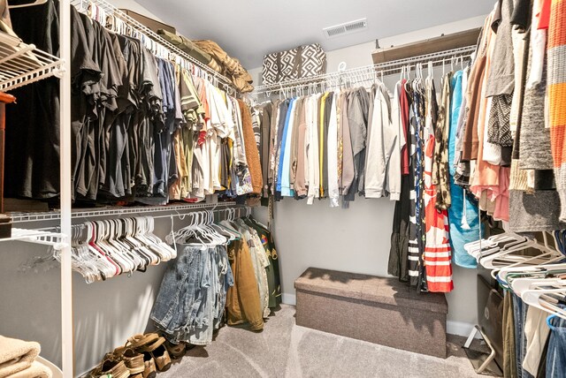 spacious closet featuring carpet