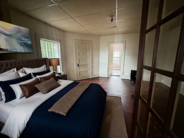 bedroom featuring a paneled ceiling and dark hardwood / wood-style flooring