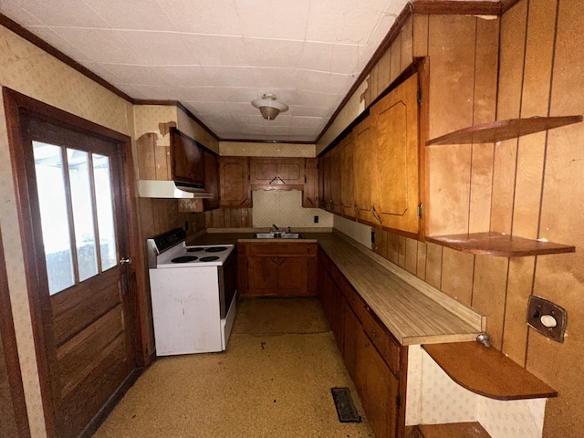 kitchen with sink, wood walls, and electric stove