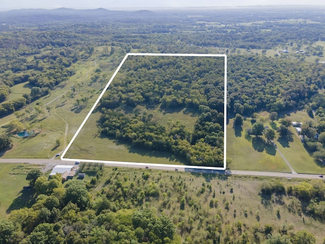 Listing photo 3 for 0 Chapel Hill Pike, Eagleville TN 37060