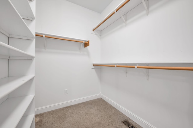 walk in closet featuring carpet