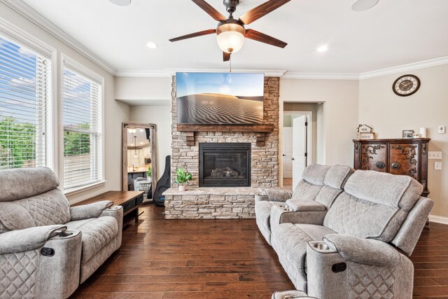 living room featuring ceiling fan, dark hardwood / wood-style floors, ornamental molding, and a stone fireplace