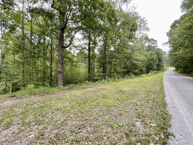 0 Otts Rd, Buchanan TN, 38222 land for sale