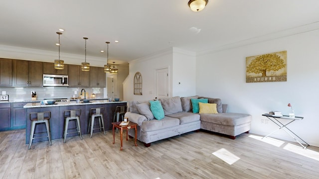 living room with light wood-type flooring, crown molding, and sink