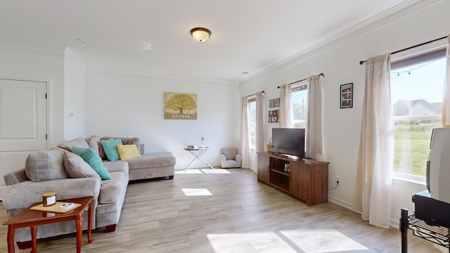 living room featuring crown molding and light hardwood / wood-style flooring