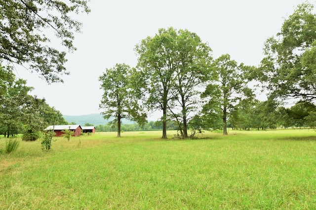 view of yard with a rural view