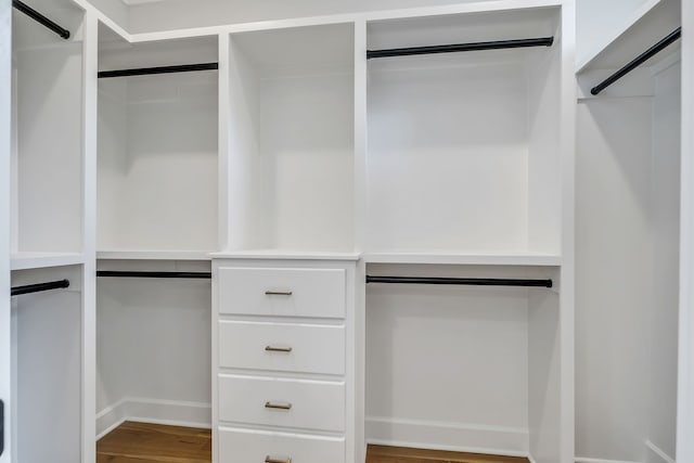 walk in closet featuring wood-type flooring