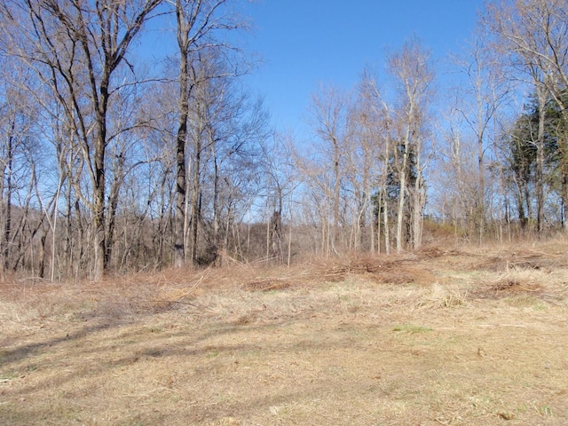 0 Toll Dugger Rd, Culleoka, TN 38451 - photo 6