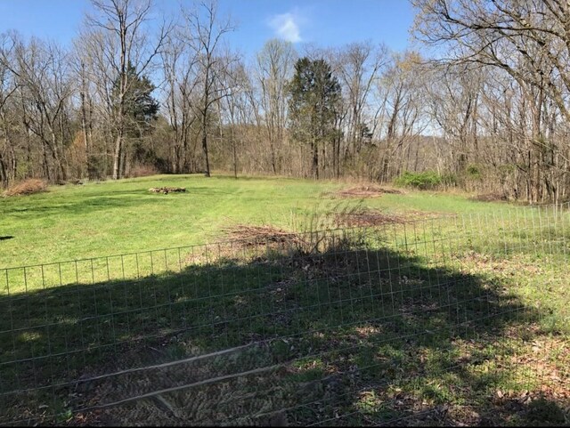 0 Toll Dugger Rd, Culleoka, TN 38451 - photo 7