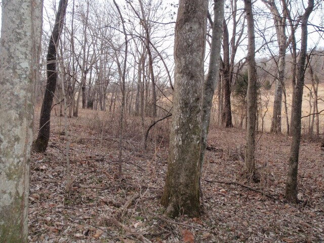 0 Toll Dugger Rd, Culleoka, TN 38451 - photo 38