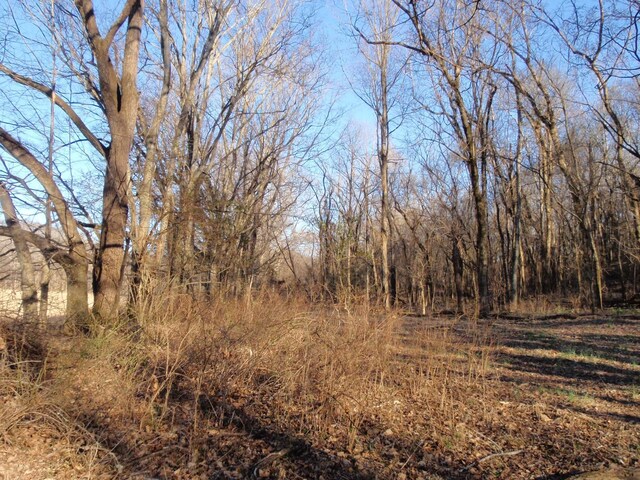 0 Toll Dugger Rd, Culleoka, TN 38451 - photo 11
