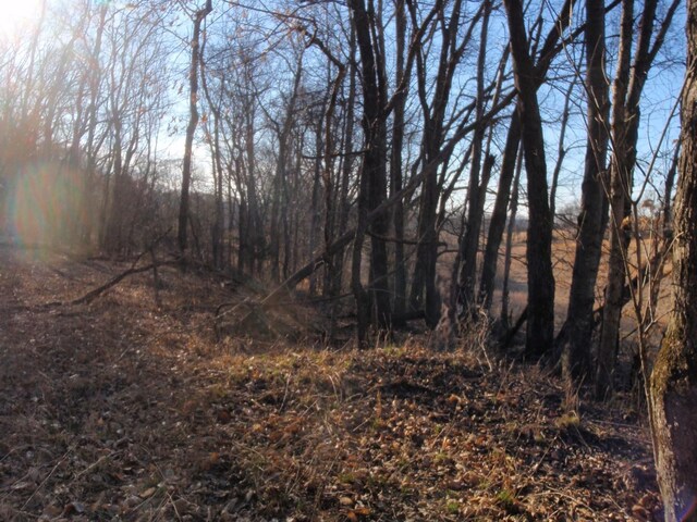 0 Toll Dugger Rd, Culleoka, TN 38451 - photo 49
