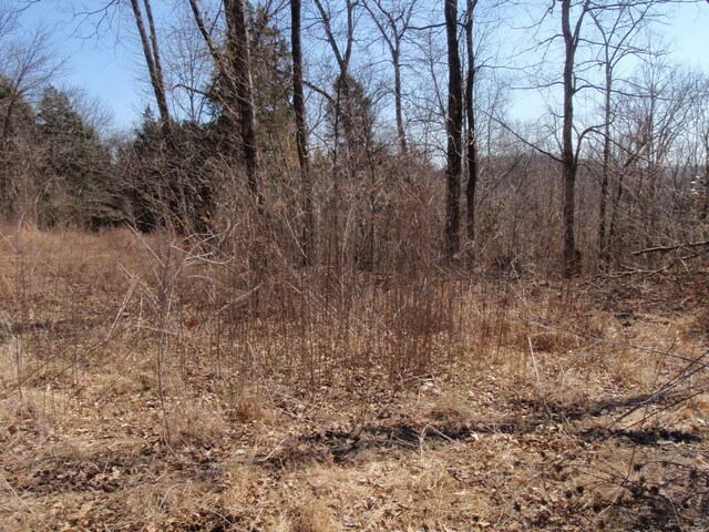 0 Toll Dugger Rd, Culleoka, TN 38451 - photo 13