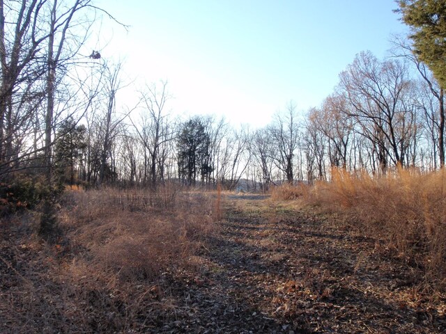 0 Toll Dugger Rd, Culleoka, TN 38451 - photo 8