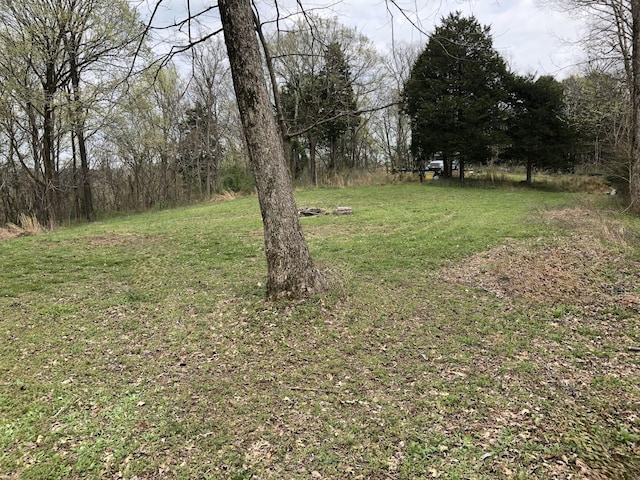 0 Toll Dugger Rd, Culleoka, TN 38451 - photo 2
