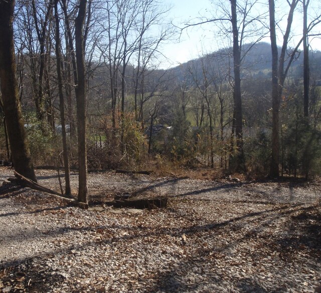 0 Toll Dugger Rd, Culleoka, TN 38451 - photo 51