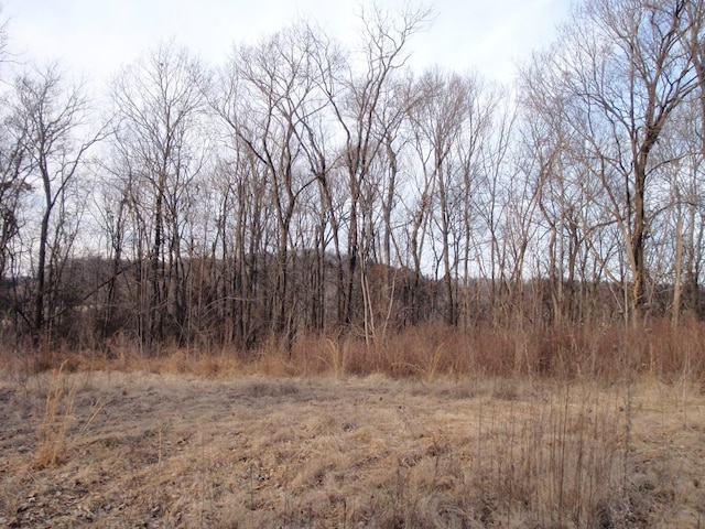 0 Toll Dugger Rd, Culleoka, TN 38451 - photo 34