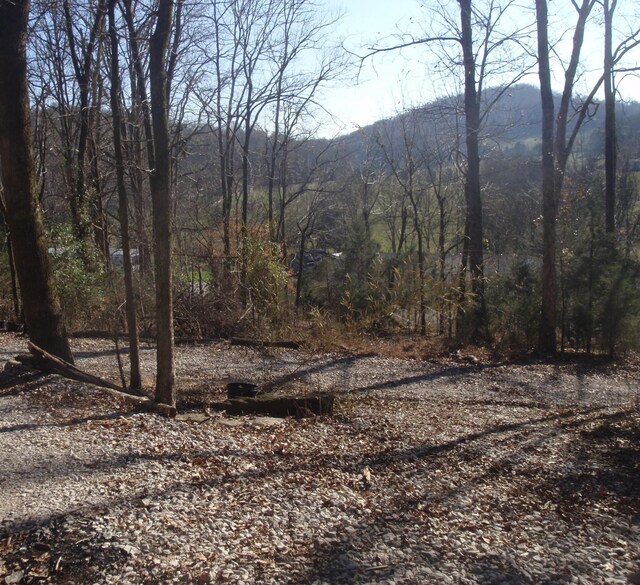 0 Toll Dugger Rd, Culleoka, TN 38451 - photo 5