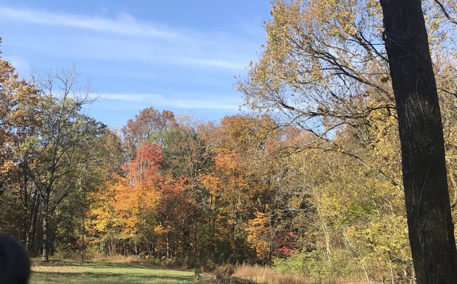 0 Toll Dugger Rd, Culleoka, TN 38451 - photo 16