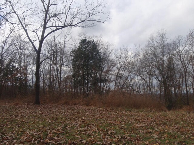 0 Toll Dugger Rd, Culleoka, TN 38451 - photo 15