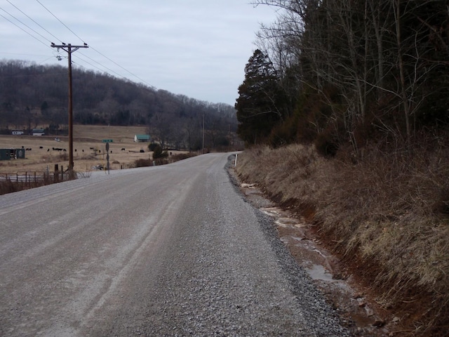 0 Toll Dugger Rd, Culleoka, TN 38451 - photo 43