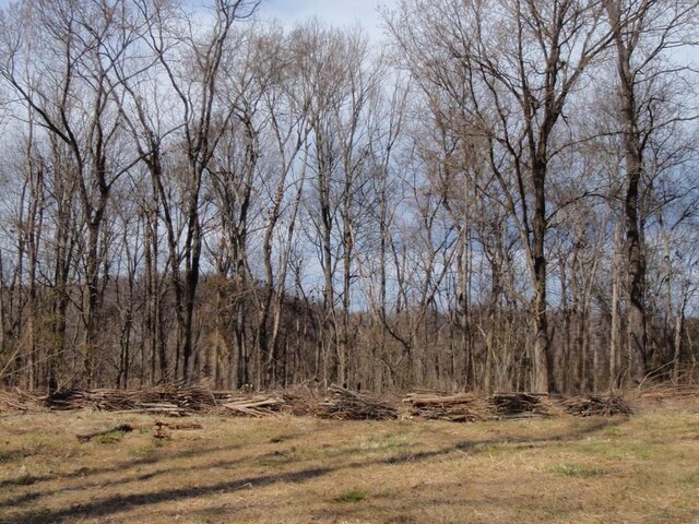 0 Toll Dugger Rd, Culleoka, TN 38451 - photo 50