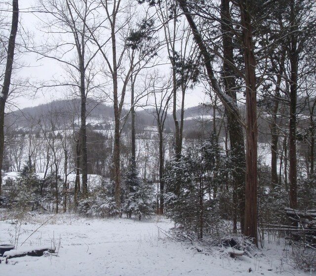 0 Toll Dugger Rd, Culleoka, TN 38451 - photo 30