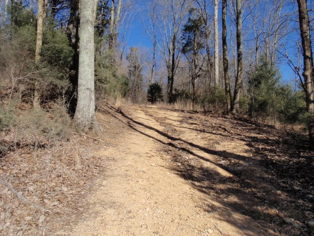 0 Toll Dugger Rd, Culleoka, TN 38451 - photo 31