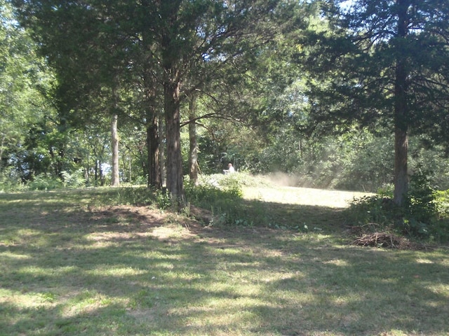 0 Toll Dugger Rd, Culleoka, TN 38451 - photo 4