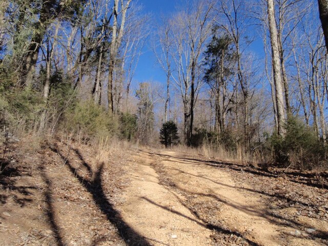 0 Toll Dugger Rd, Culleoka, TN 38451 - photo 32