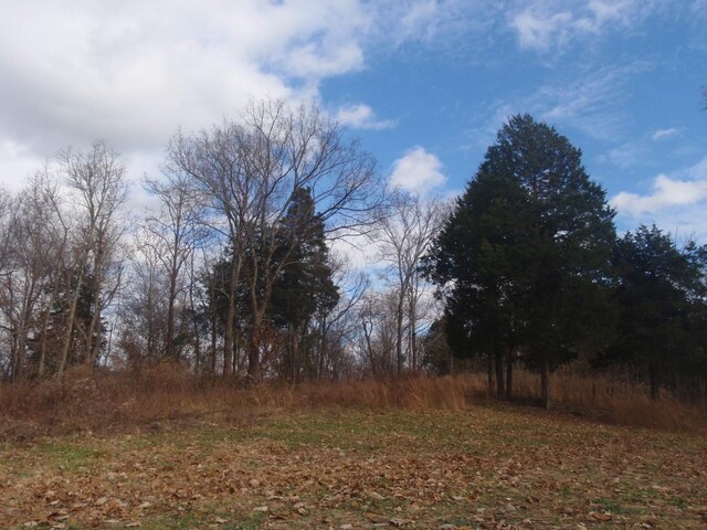 0 Toll Dugger Rd, Culleoka, TN 38451 - photo 14