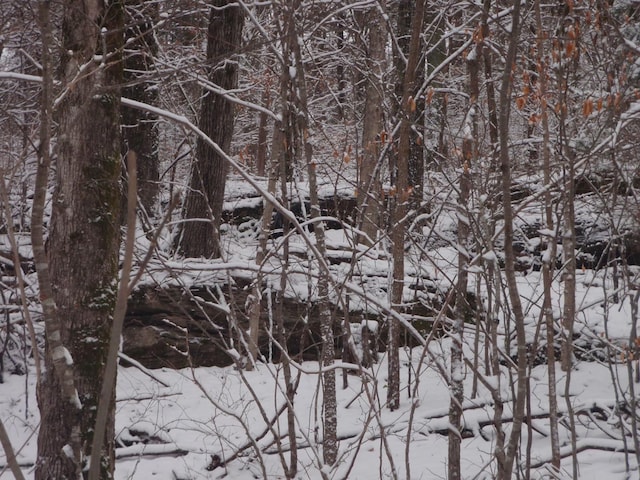 0 Toll Dugger Rd, Culleoka, TN 38451 - photo 29