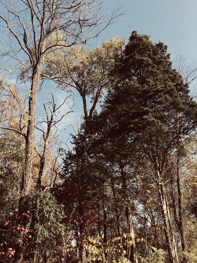 0 Toll Dugger Rd, Culleoka, TN 38451 - photo 27