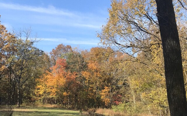 0 Toll Dugger Rd, Culleoka, TN 38451 - photo 3