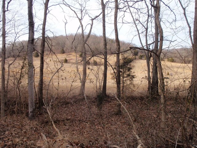 0 Toll Dugger Rd, Culleoka, TN 38451 - photo 37