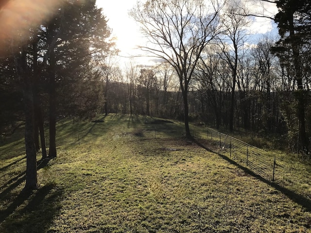 0 Toll Dugger Rd, Culleoka, TN 38451 - photo 1