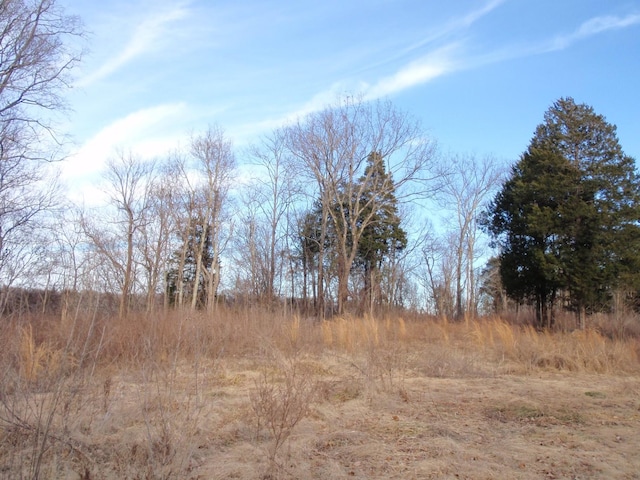 0 Toll Dugger Rd, Culleoka, TN 38451 - photo 35