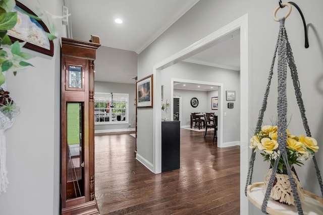 hall with dark wood-type flooring and crown molding