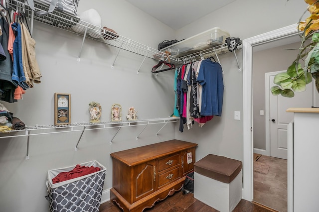 walk in closet featuring dark hardwood / wood-style flooring