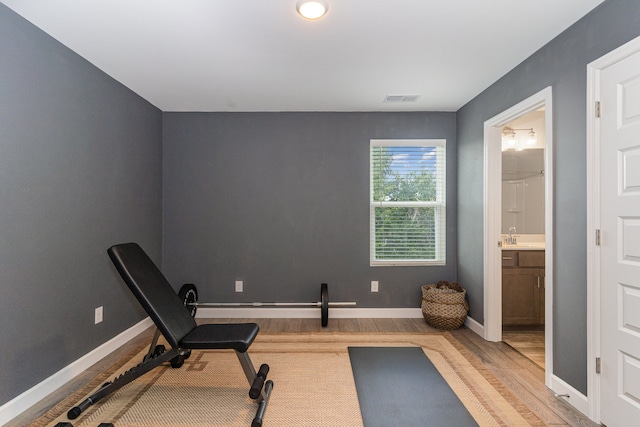 exercise area featuring light hardwood / wood-style floors and sink