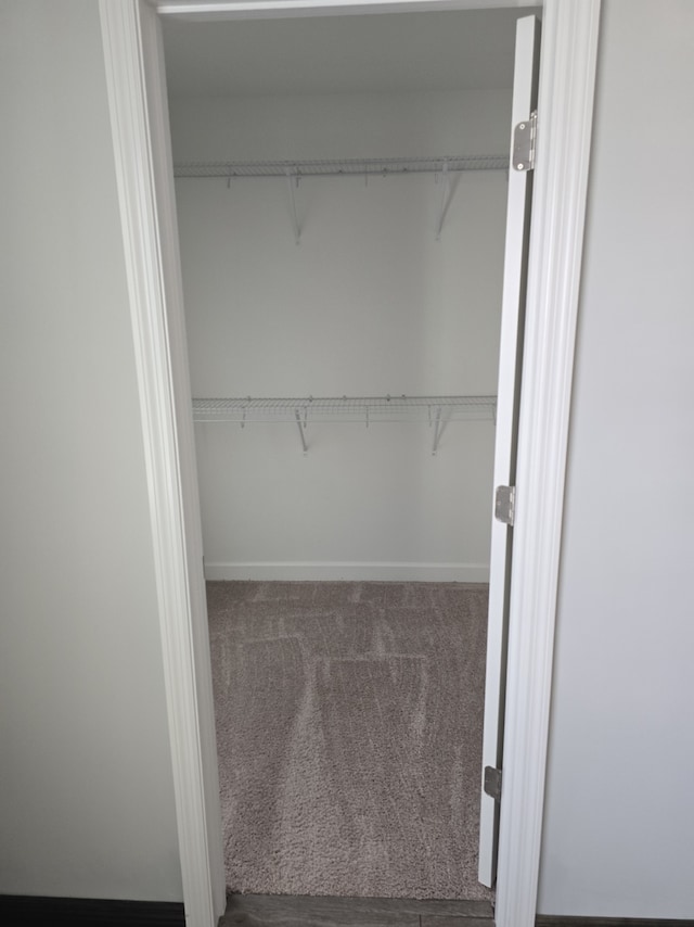 view of closet