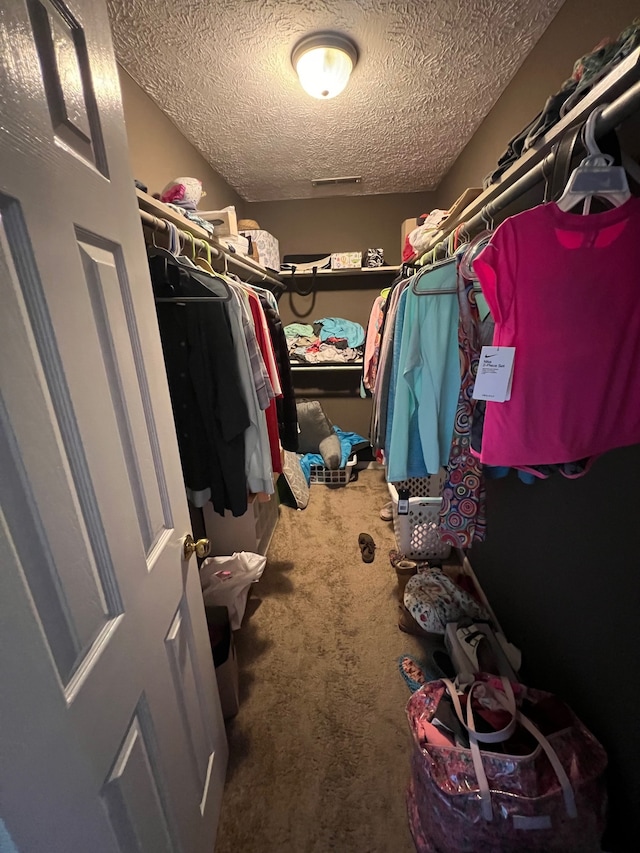 spacious closet featuring carpet