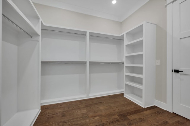 walk in closet with dark hardwood / wood-style floors