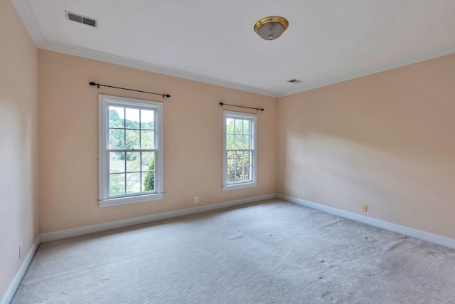 carpeted spare room featuring ornamental molding