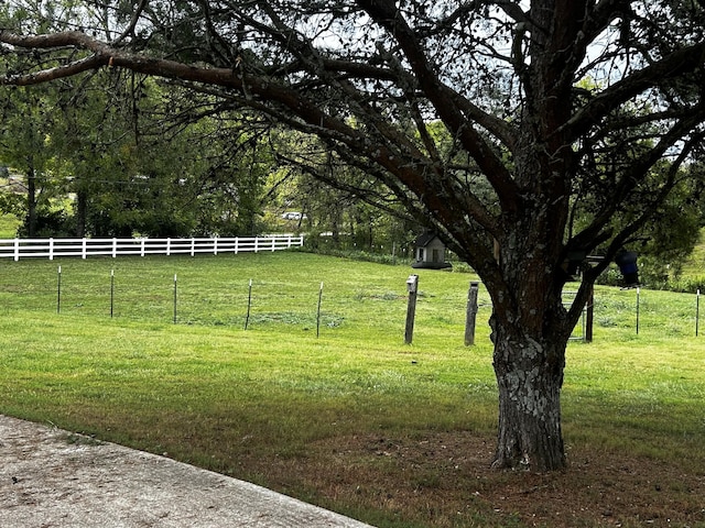 315 Loyd Rd, Pulaski, TN 38478 - view of yard
