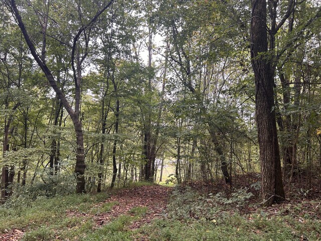 315 Loyd Rd, Pulaski, TN 38478 - view of wooded area