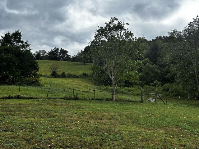 315 Loyd Rd, Pulaski, TN 38478 - view of yard with a rural view