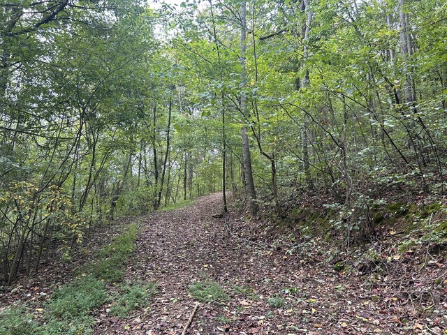 315 Loyd Rd, Pulaski, TN 38478 - view of wooded area